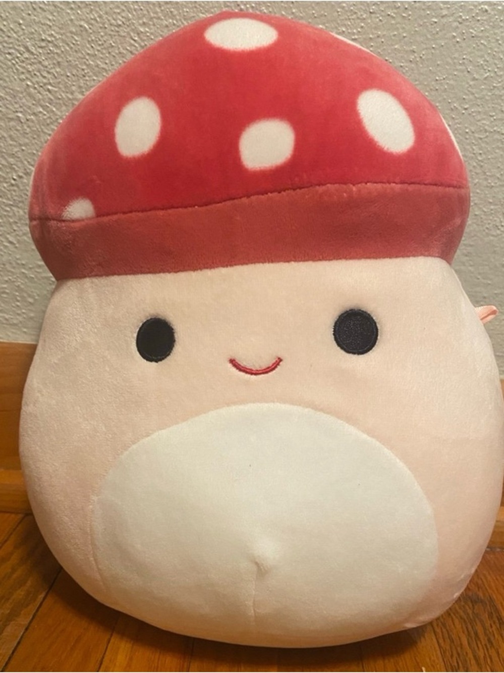 RARE Malcom the mushroom Squishmallow